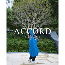 将图片加载到图库查看器,ACCORD大提琴盒标准2.8