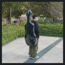 将图片加载到图库查看器,Galaxy 3高科技大提琴箱