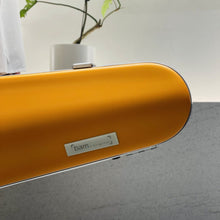 Load image into Gallery viewer, BAM LA DEFENSE Hightech Contoured Violin case