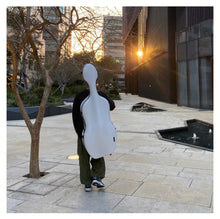 将图片加载到图库查看器,Galaxy 3高科技大提琴箱