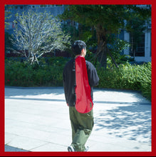 将图片加载到图库查看器,Galaxy 3高科技小提琴定型箱