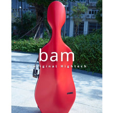 将图片加载到图库查看器,BAM 高科技纤薄2.9大提琴箱