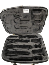 将图片加载到图库查看器,BAM Double Clarinet case (Special Edition #2)
