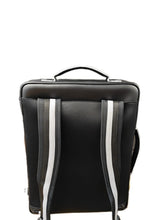 将图片加载到图库查看器,BAM Double Clarinet case (Special Edition #1)