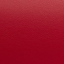 Load image into Gallery viewer, BAM L'ETOILE HIGHTECH ADJUSTABLE FRENCH HORN CASE