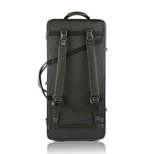 将图片加载到图库查看器,BAM 经典41.5厘米中提琴 + 小提琴箱