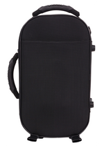 Load image into Gallery viewer, BAM Trekking Cornet Case