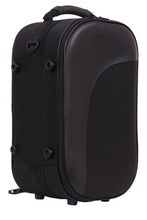 Load image into Gallery viewer, BAM Trekking Cornet Case
