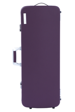 Load image into Gallery viewer, BAM HIGHTECH L'ETOILE Oblong Viola Case