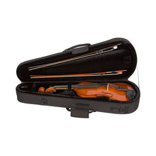 Load image into Gallery viewer, PROTEC Max Viola Case