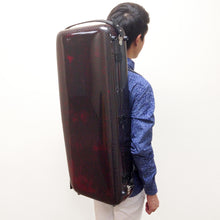 将图片加载到图库查看器,ACCORD 中提琴超轻 2.1