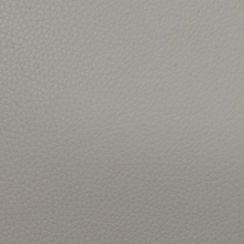 将图片加载到图库查看器,BAM L'ETOILE 星尚系列 Hightech Slim 小提琴盒