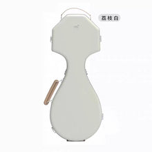 将图片加载到图库查看器，JML carbon fiber Liuqin case 炭纖維柳琴盒
